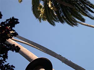 DaysLikeThese/A Daily Photo Project:August 8th, 2003-Today