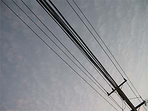 DaysLikeThese/A Daily Photo Project:August 8th, 2003-Today