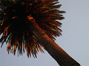 DaysLikeThese/A Daily Photo Project:August 8th, 2003-Today