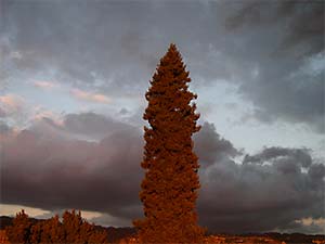 DaysLikeThese/A Daily Photo Project:August 8th, 2003-Today
