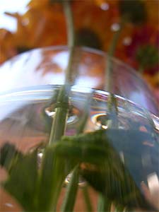 DaysLikeThese/A Daily Photo Project:August 8th, 2003-Today
