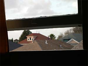 DaysLikeThese/A Daily Photo Project:August 8th, 2003-Today