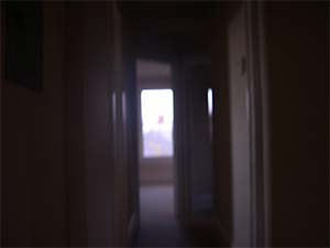 DaysLikeThese/A Daily Photo Project:August 8th, 2003-Today
