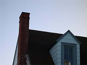 DaysLikeThese/A Daily Photo Project:August 8th, 2003-Today