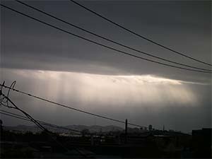 DaysLikeThese/A Daily Photo Project:August 8th, 2003-Today