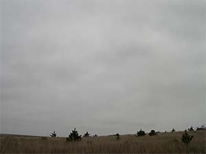 DaysLikeThese/A Daily Photo Project:August 8th, 2003-Today