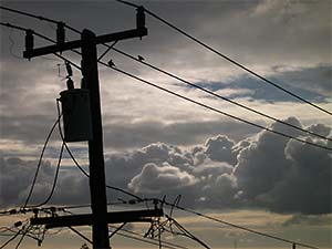 DaysLikeThese/A Daily Photo Project:August 8th, 2003-Today
