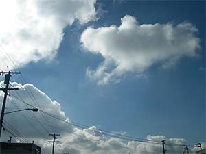 DaysLikeThese/A Daily Photo Project:August 8th, 2003-Today