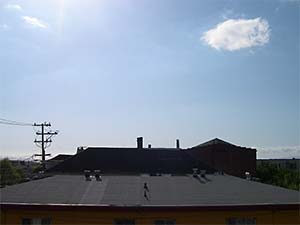 DaysLikeThese/A Daily Photo Project:August 8th, 2003-Today