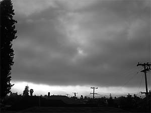 DaysLikeThese/A Daily Photo Project:August 8th, 2003-Today
