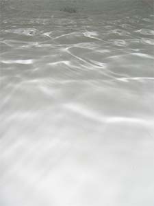 DaysLikeThese/A Daily Photo Project:August 8th, 2003-Today