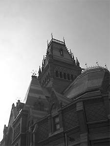 DaysLikeThese/A Daily Photo Project:August 8th, 2003-Today