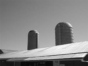 DaysLikeThese/A Daily Photo Project:August 8th, 2003-Today