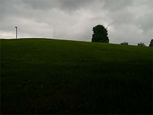 DaysLikeThese/A Daily Photo Project:August 8th, 2003-Today