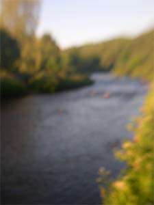 DaysLikeThese/A Daily Photo Project:August 8th, 2003-Today
