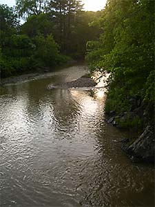 DaysLikeThese/A Daily Photo Project:August 8th, 2003-Today