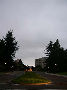 DaysLikeThese/A Daily Photo Project:August 8th, 2003-Today