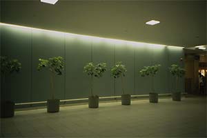 DaysLikeThese/A Daily Photo Project:August 8th, 2003-Today
