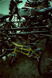 DaysLikeThese/A Daily Photo Project:August 8th, 2003-Today