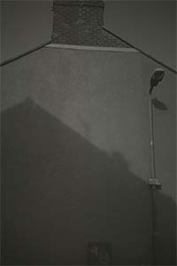 DaysLikeThese/A Daily Photo Project:August 8th, 2003-Today