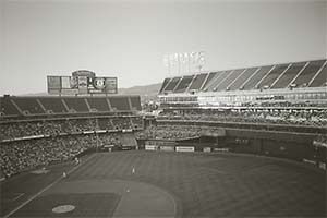 DaysLikeThese/A Daily Photo Project:August 8th, 2003-Today