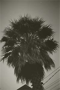 DaysLikeThese/A Daily Photo Project:August 8th, 2003-Today