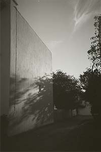 DaysLikeThese/A Daily Photo Project:August 8th, 2003-Today