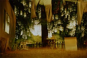 DaysLikeThese/A Daily Photo Project:August 8th, 2003-Today