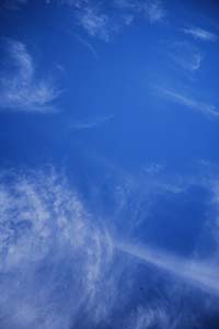 DaysLikeThese/A Daily Photo Project:August 8th, 2003-Today