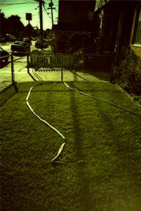 DaysLikeThese/A Daily Photo Project:August 8th, 2003-Today