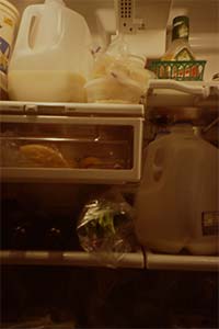 DaysLikeThese/A Daily Photo Project:August 8th, 2003-Today