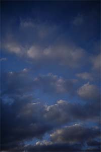 DaysLikeThese/A Daily Photo Project:August 8th, 2003-Today