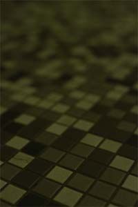 DaysLikeThese/A Daily Photo Project:August 8th, 2003-Today