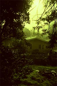 DaysLikeThese/A Daily Photo Project:August 8th, 2003-Today