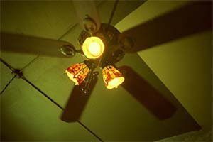 DaysLikeThese/A Daily Photo Project:August 8th, 2003-Today
