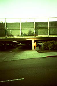 DaysLikeThese/A Daily Photo Project:August 8th, 2003-Today
