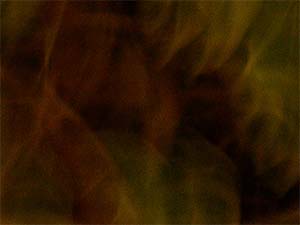 DaysLikeThese/A Daily Photo Project:August 8th, 2003-Today
