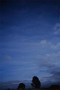 DaysLikeThese/A Daily Photo Project:August 8th, 2003-Today