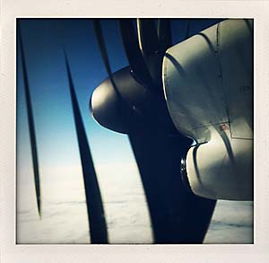 DaysLikeThese  /  A Daily Photo Project  :  August 8th, 2003–Today
